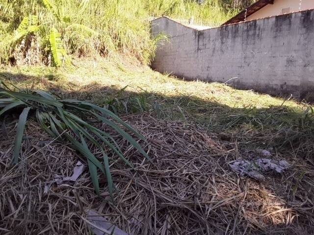 Área para Venda em Caraguatatuba - 5